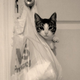 Illustration for article titled Shooting Challenge Pets Gallery 4